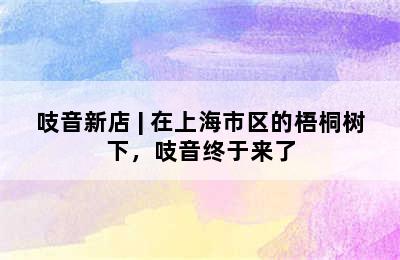 吱音新店 | 在上海市区的梧桐树下，吱音终于来了